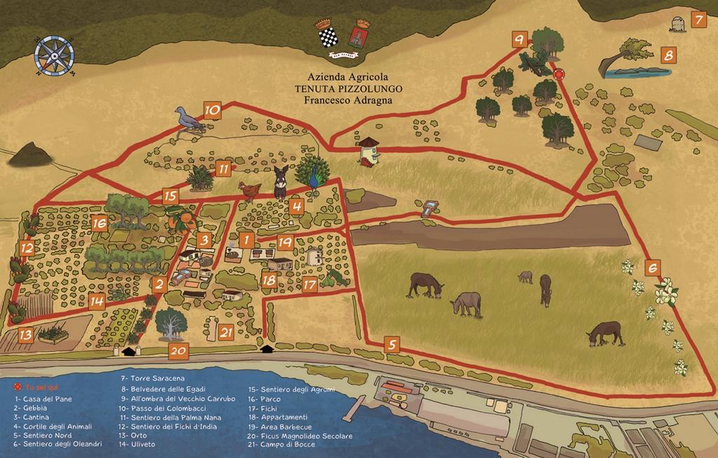 Azienda Agrituristica Tenuta Pizzolungo Erice Kültér fotó