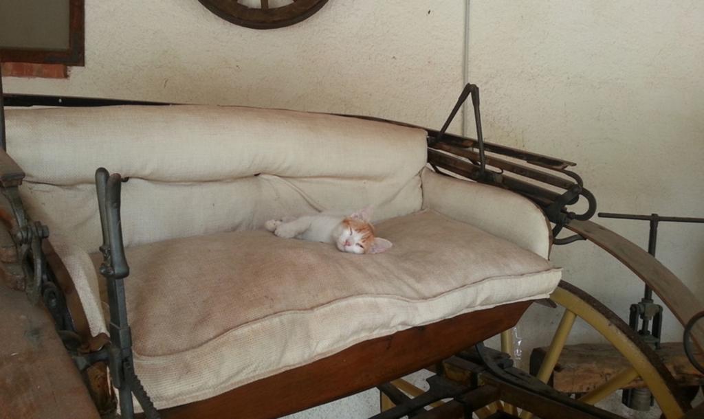 Azienda Agrituristica Tenuta Pizzolungo Erice Kültér fotó