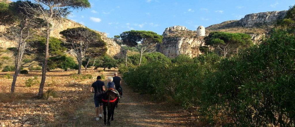Azienda Agrituristica Tenuta Pizzolungo Erice Kültér fotó