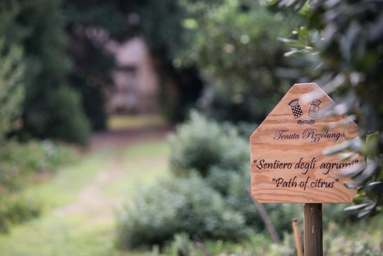 Azienda Agrituristica Tenuta Pizzolungo Erice Kültér fotó