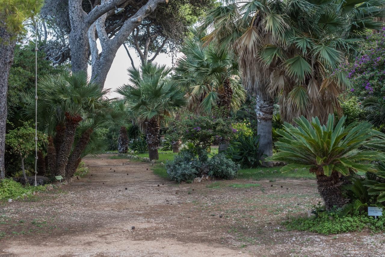Azienda Agrituristica Tenuta Pizzolungo Erice Kültér fotó