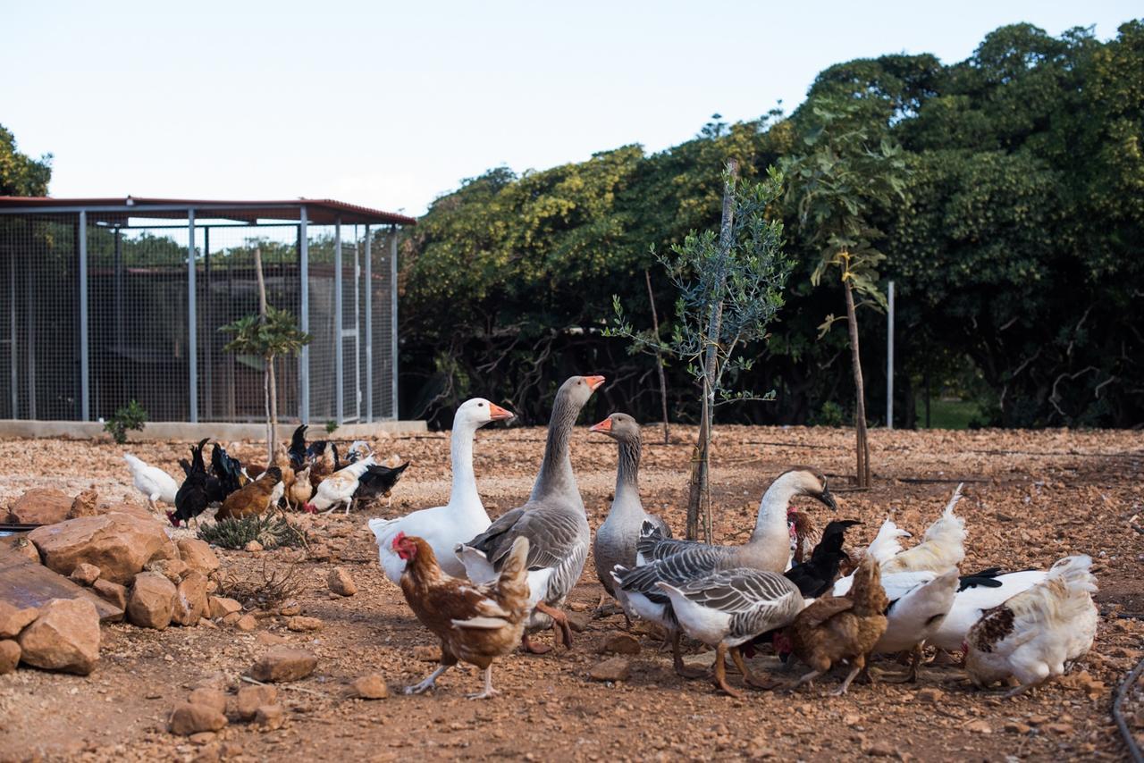 Azienda Agrituristica Tenuta Pizzolungo Erice Kültér fotó