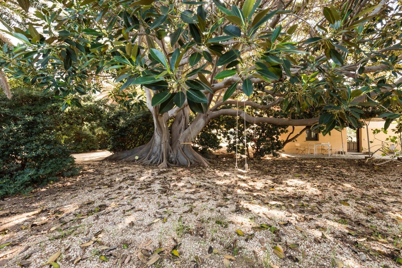 Azienda Agrituristica Tenuta Pizzolungo Erice Kültér fotó