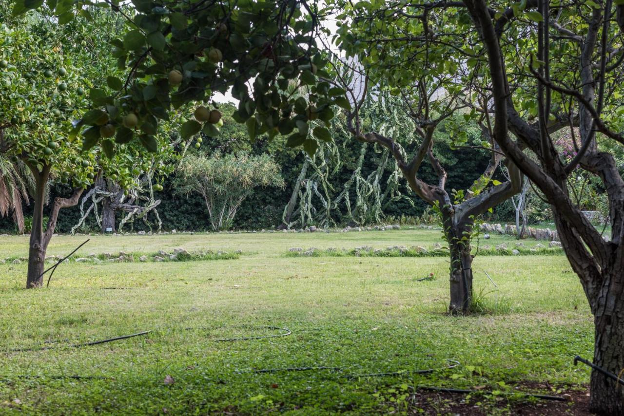 Azienda Agrituristica Tenuta Pizzolungo Erice Kültér fotó